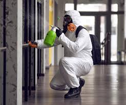 Mold Odor Removal Services in Chattahoochee, FL